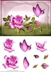 Rose and Butterfly