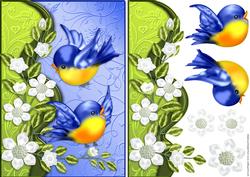 Spring Birds