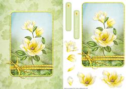 Magnolia