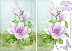 Magnolia 2