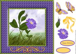 Butterflies
