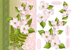 Wild Flower
