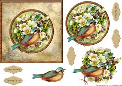 Finch and Flowers