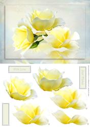 Yellow Rose Floral Card Front