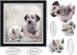 Puppy and Kitten Card