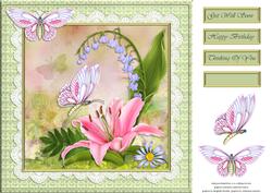 Flowers and Butterflies