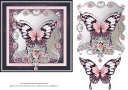 Butterfly Quick Card