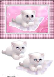Cute Kitty