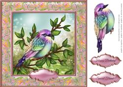 Rainbow Bird