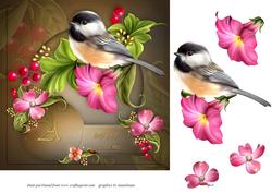 A Little Bird
