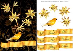 Black and Gold