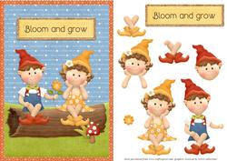 Bloom and Grow