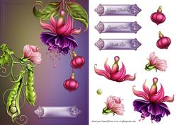 Sweat Pea Card Front