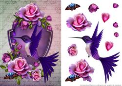 Humming Bird Card Front