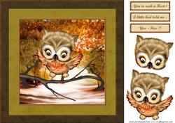 Such a Hoot !