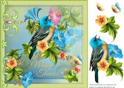 Finch and Flowers