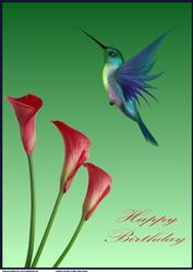 Humming Bird A4