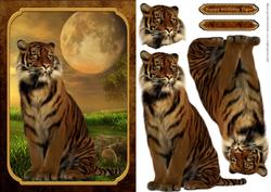 Birthday Tiger