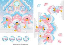 Snow Birds Card Front