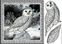 Night Owl Topper
