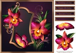 Romantic Orchids