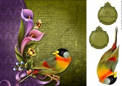 Green Finch Quick Card