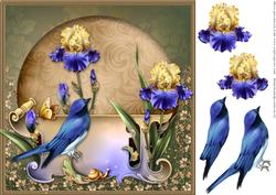 Orchid and Blue Bird