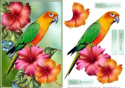 Parrot and Hibiscus