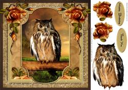 Night Owl in Moonlight