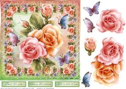 Rosy Glow and Butterlies