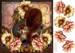 Autumn Squirrel