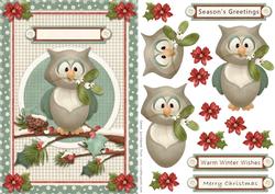 Winter Owl Card Front