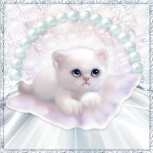 Little Kitten Mini Kit