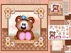 Little Bear Mini Kit
