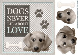 Dogs never lie