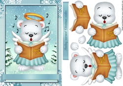 The Polar Choir