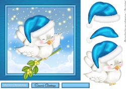 Little Winter Owl