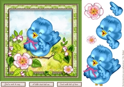 Little Bluebird
