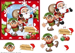 Santas little helper