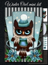 Winter owl mini kit