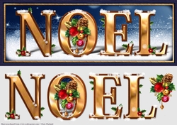 Noel Large DL Card Front