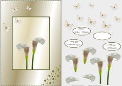 Lilies Quick Card