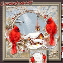 Cardinals mini kit