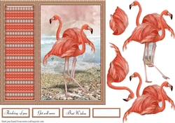 Flamingo Card Front