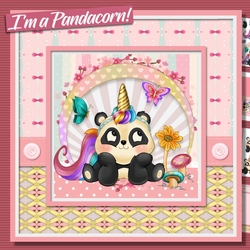 Im a Pandacorn, deal with it !