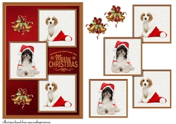 Christmas Animal 3 squared card front