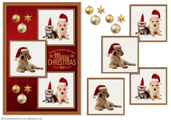 Christmas Animal 3 squared card front 2