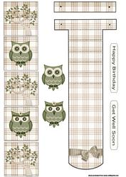 Owls Waterfall