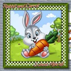 Rabbit and Carrot mini kit