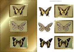Butterflies Cardfront